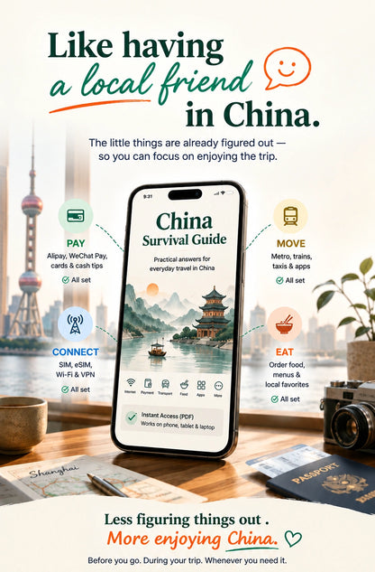China Survival Guide
